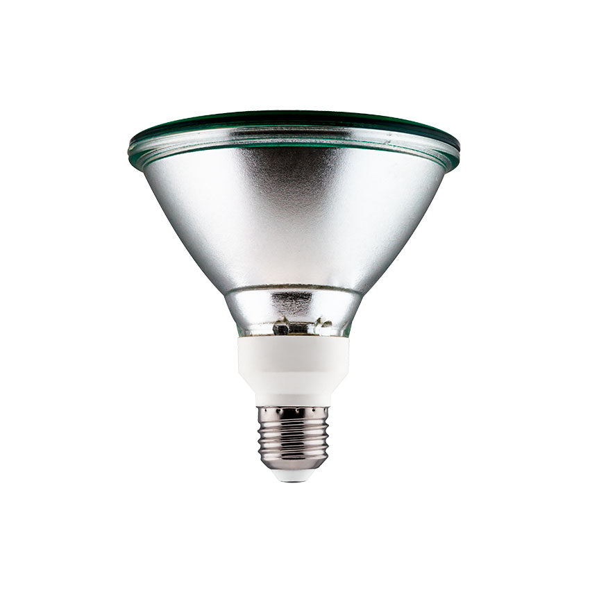 LDV LED Bulb PAR38 K.GREEN 11W 120º E27