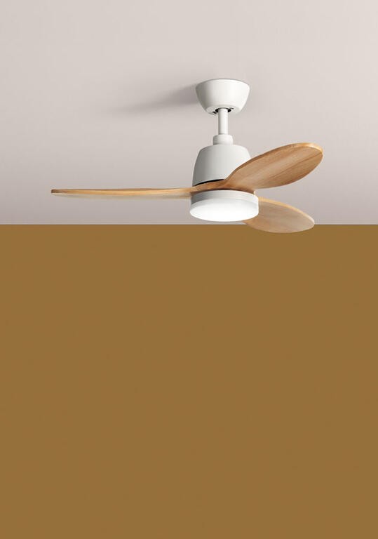 MDC MDC588558009 - lateral