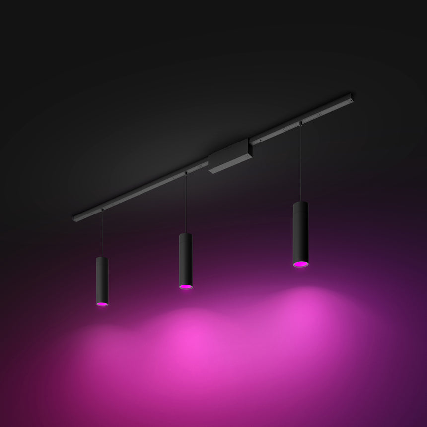 Philips Hue White and Color Ambiance Lámpara colgante Perifo negro RGBW 5W 510lm 40772500