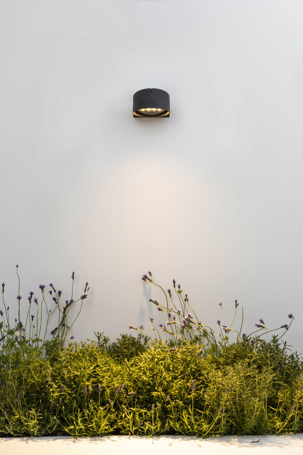 Faro MUUR 250 Dark gray projector lamp 71771