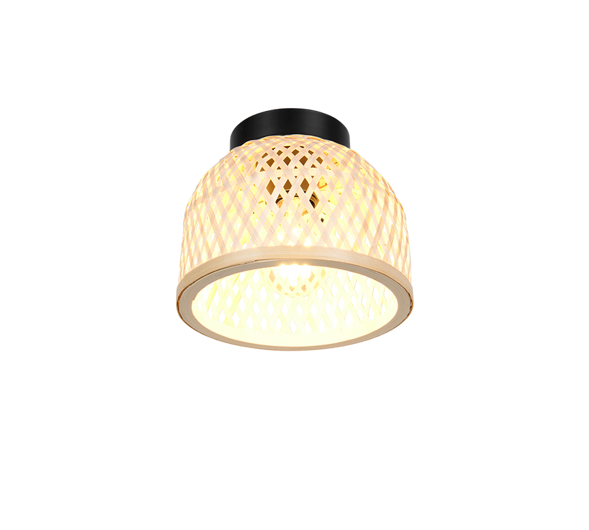 R26091732_4