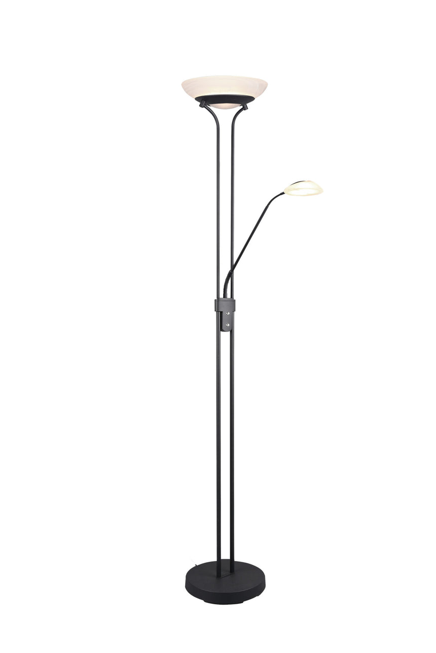 Trio Orson Black Mat Metal LED Floor Lamp R40073532
