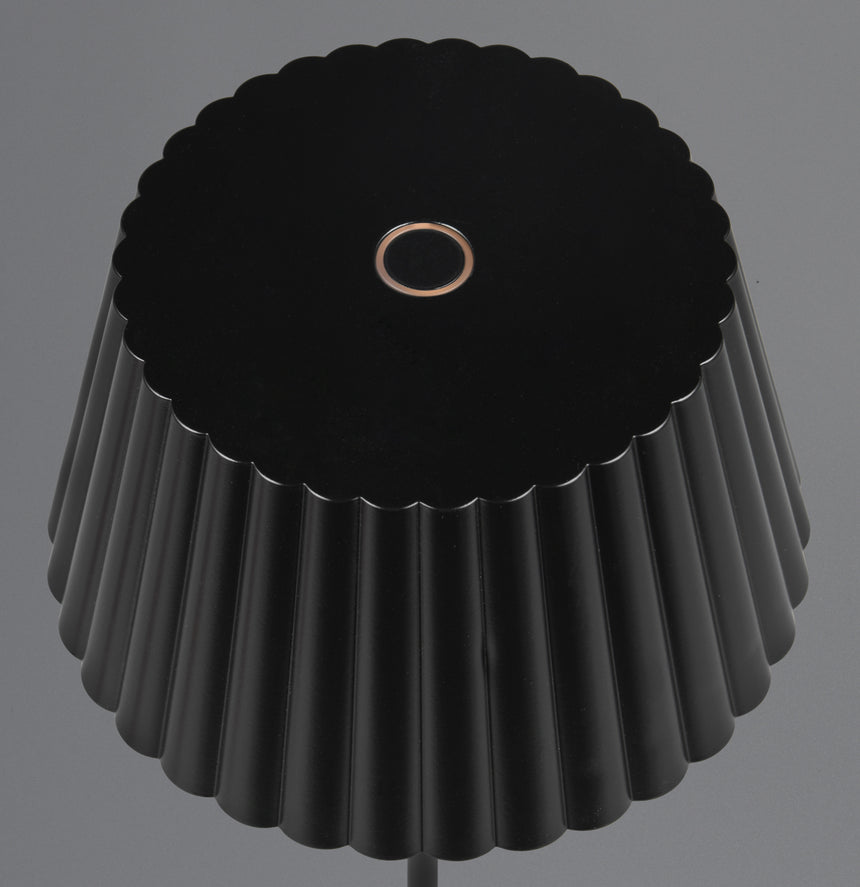 Trio Suarez LED Lámpara de pie portátil y recargable negro R47706132