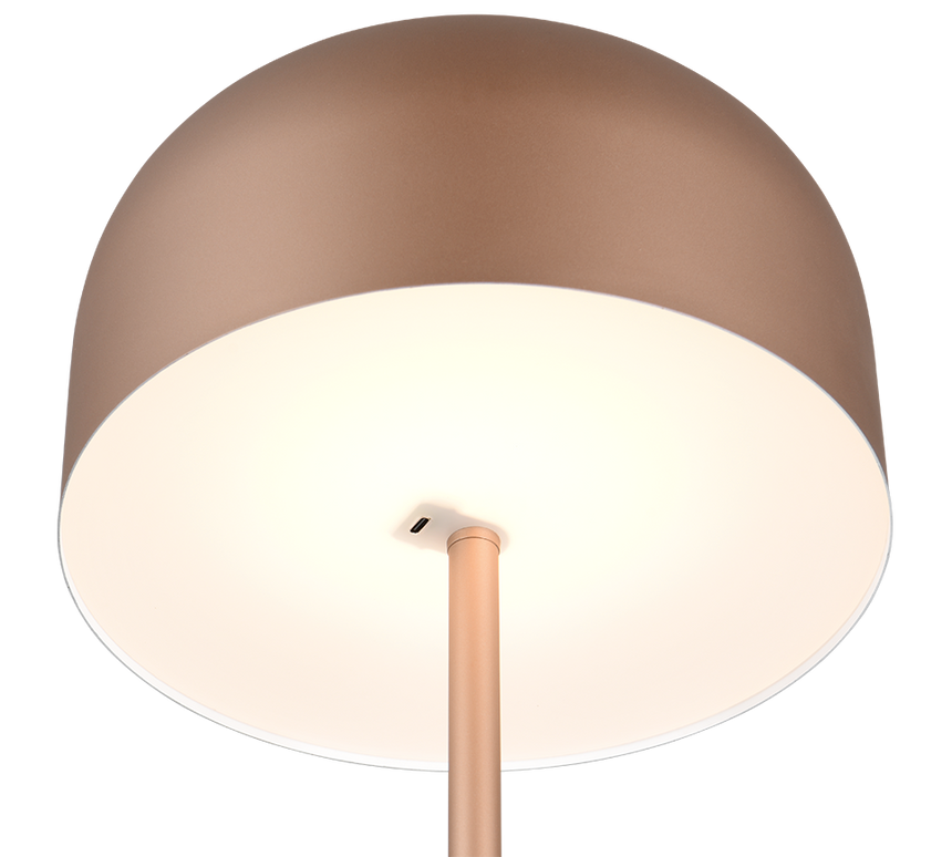 Lámpara de pie Trio Jeff LED marrón café táctil 3000K 147cm R49151165