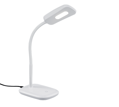 R52431101