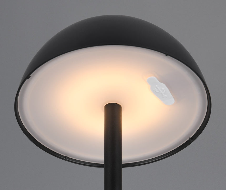 Trio Ricardo Portable table lamp black R54106132