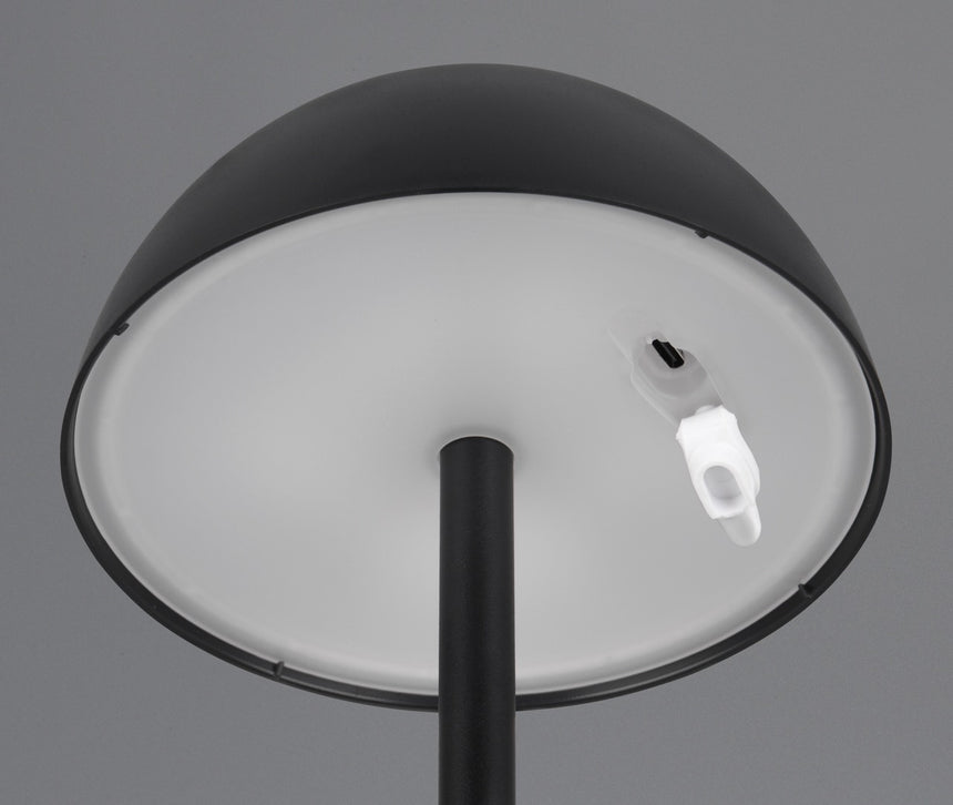 Trio Ricardo Portable table lamp black R54106132