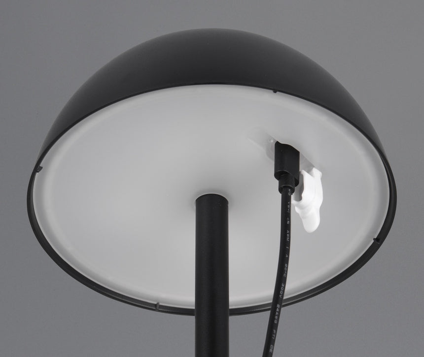Trio Ricardo Portable table lamp black R54106132