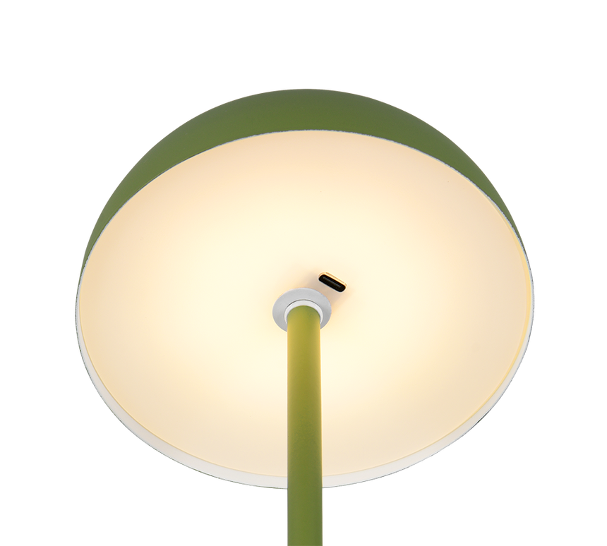 Lámpara de sobremesa Trio Munoz LED green táctil 3000K R54891115