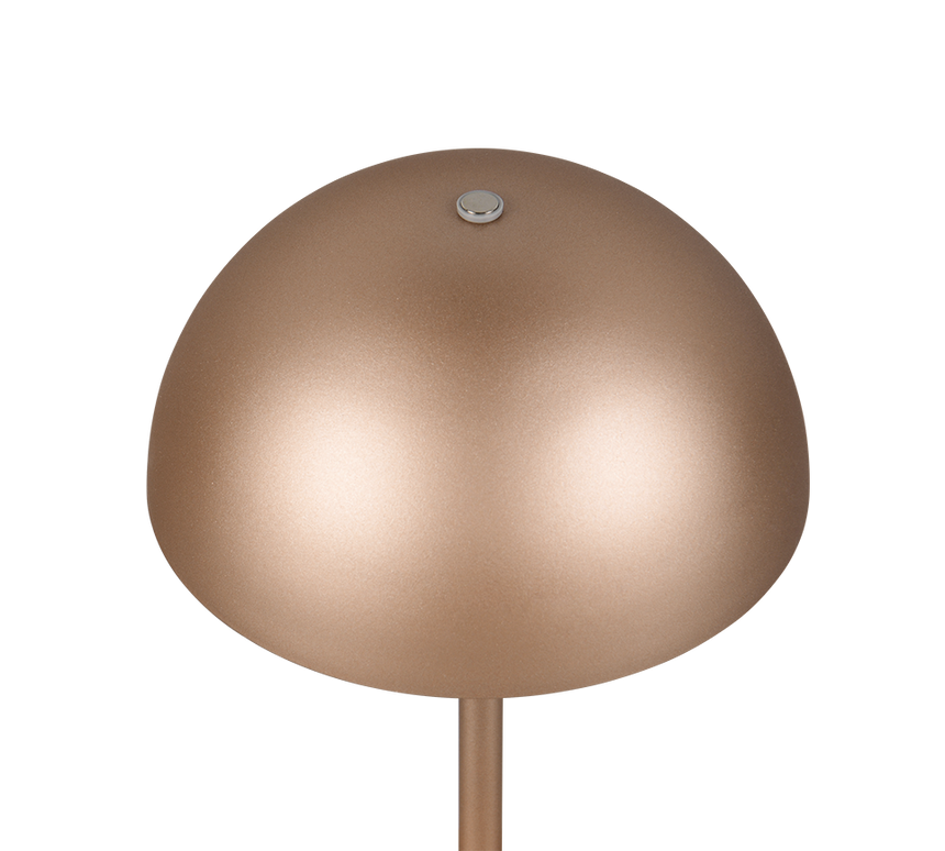 Lámpara de sobremesa Trio Munoz LED marrón café táctil 3000K R54891165