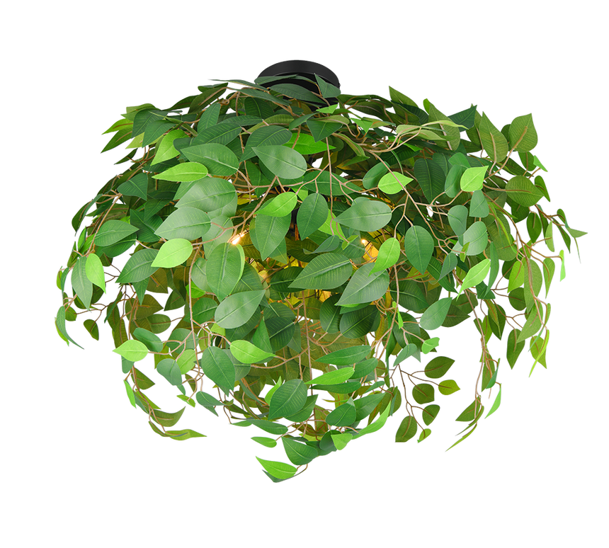 Plafón de techo Trio Leavy 3 luces negro mate y verde Ø70cm R60463015