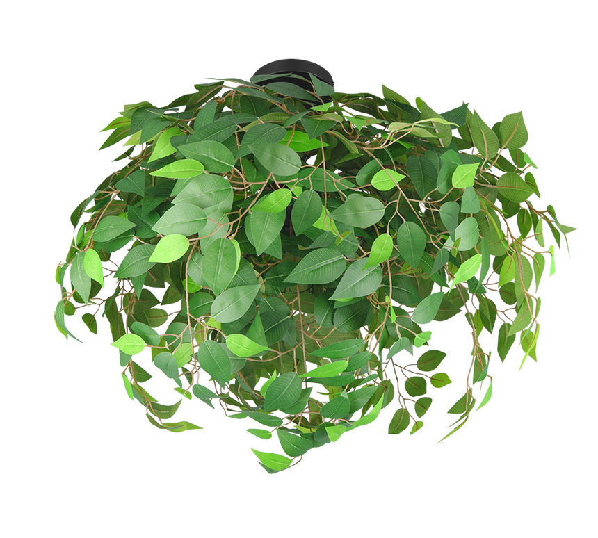 Plafón de techo Trio Leavy 3 luces negro mate y verde Ø70cm R60463015 - vista 2