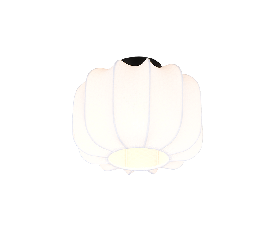 Plafón de techo Trio Madeline negro mate Ø25cm R61971001