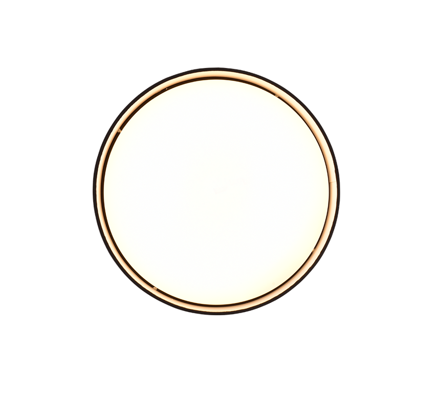 Plafón de techo Trio Locarno LED negro 3000K regulable Ø30cm R64191102
