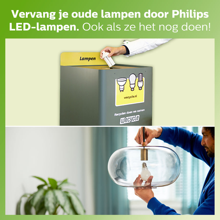 Bombilla de filamento Philips Classic mate A60 60W E27 4000K 840lm 777100 - imagen 5