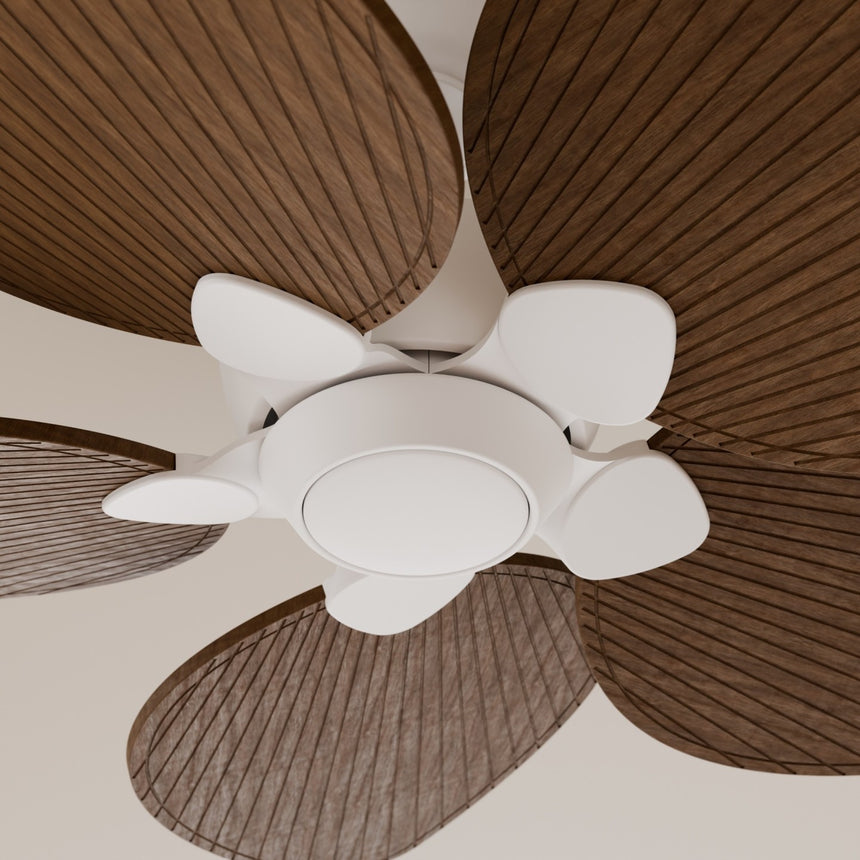Ventilador de techo Sulion Alma 100cm blanco y madera oscura motor DC — vista 3