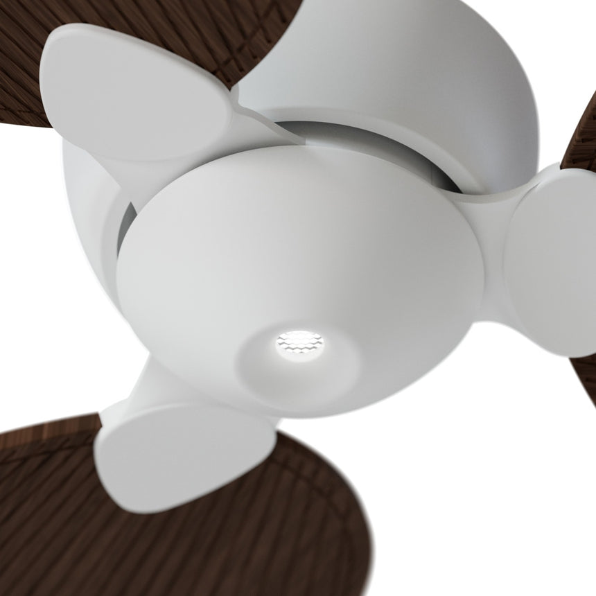 Ventilador de techo Sulion Alma blanco, brillo, palas madera oscura 2247472