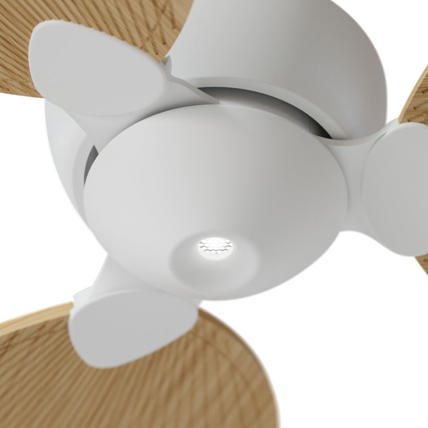 Ventilador de techo con luz Sulion Alma 132cm LED blanco y madera clara motor DC CCT — vista 3