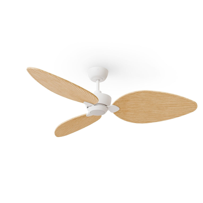 Ventilador de techo con luz Sulion Alma 132cm LED blanco y madera clara motor DC CCT — vista 4