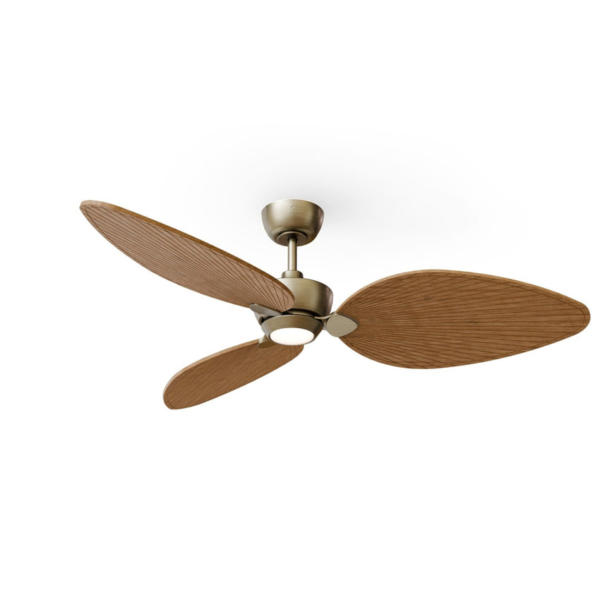 Ventilador de techo con luz Sulion Alma 132cm LED latón y madera media motor DC CCT 2248462 — vista 2