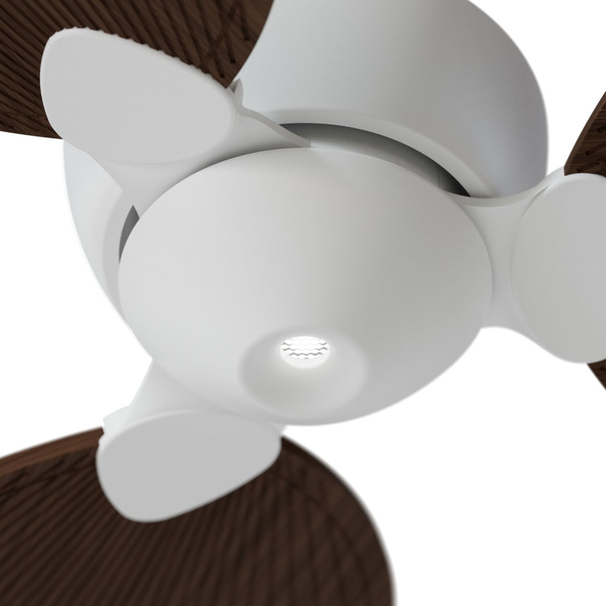 Ventilador de techo con luz Sulion Alma 132cm LED blanco y madera oscura motor DC CCT — vista 3
