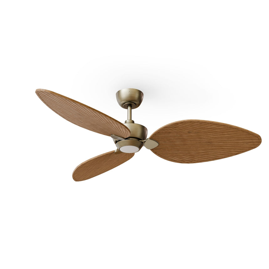 Ventilador de techo Sulion Alma latón, brillo, palas madera media 2246390