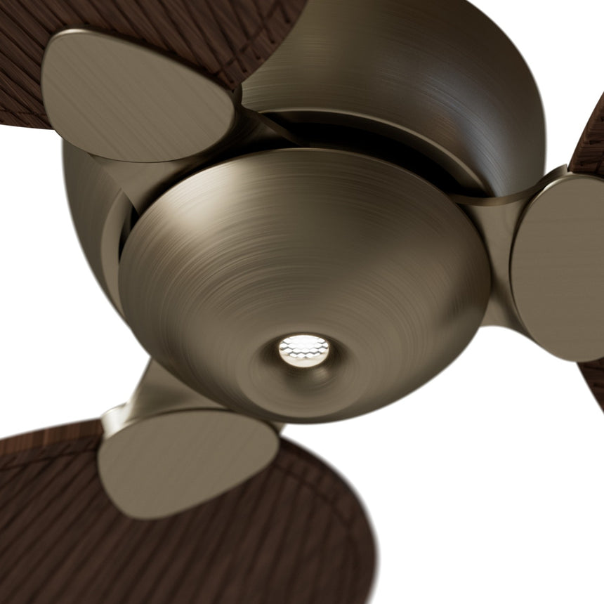 Ventilador de techo Sulion Alma latón, brillo, palas madera oscura 2246444