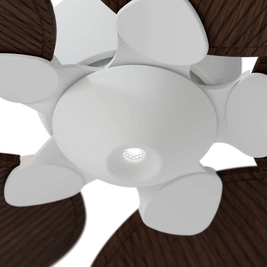 Ventilador de techo con luz Sulion Alma 100cm LED blanco y madera oscura motor DC CCT — vista 3