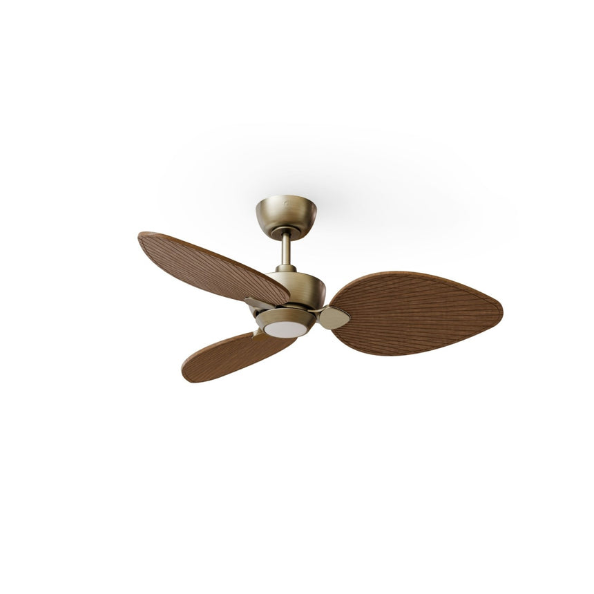 Ventilador de techo con luz Sulion Alma 100cm LED latón y madera oscura motor DC CCT — vista 4