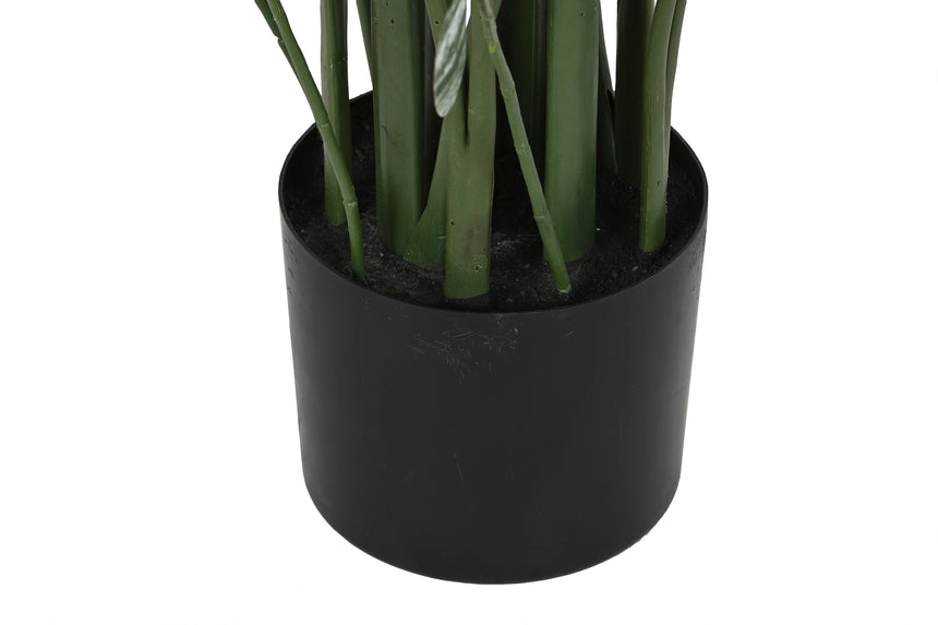 Base negra de la planta artificial ave de paraíso ITEM JA-210903
