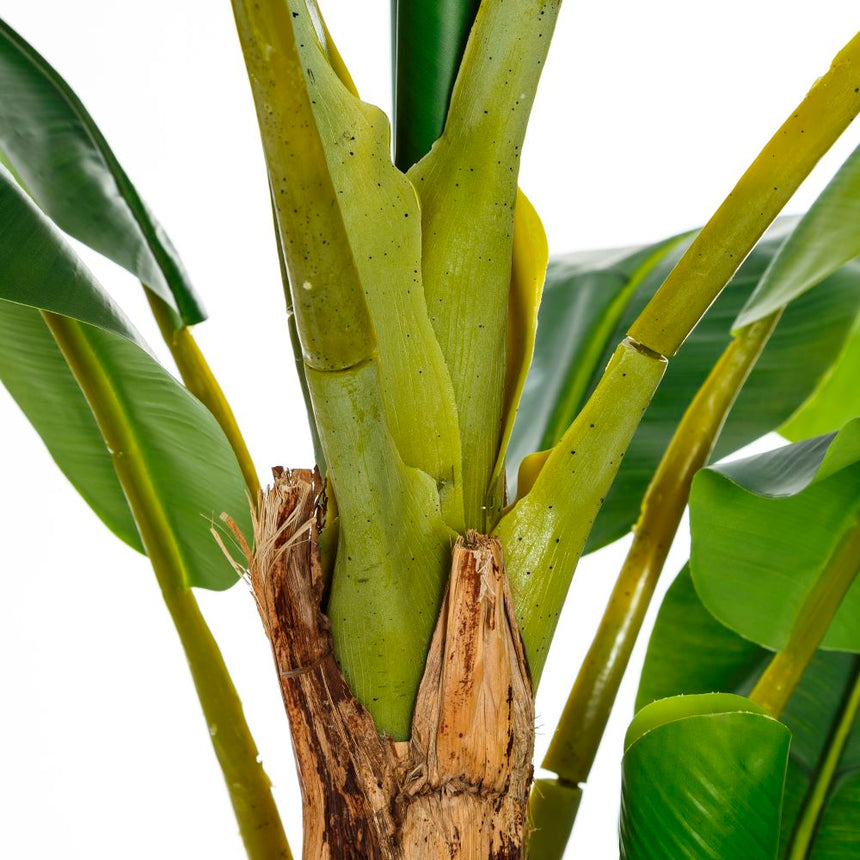 Detalle de los tallos del platanero artificial IXIA 107413