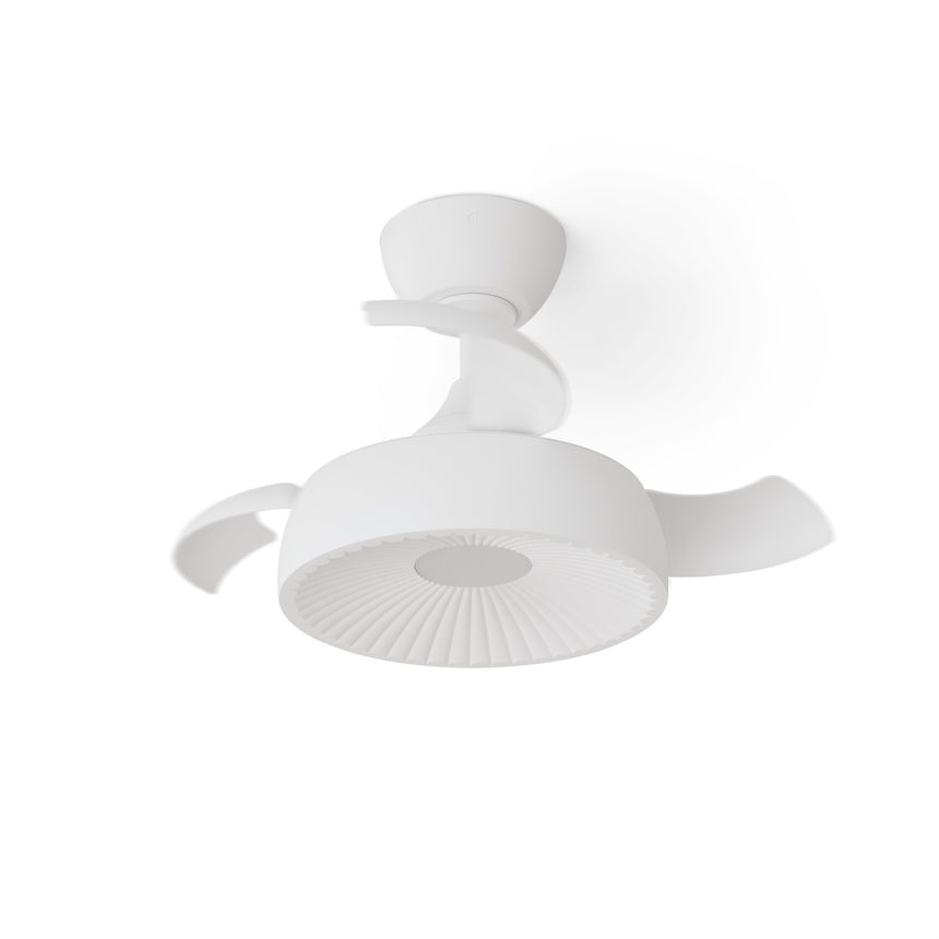 Ventilador de techo con luz Sulion Victoria 55cm LED blanco motor DC CCT regulable — vista 3