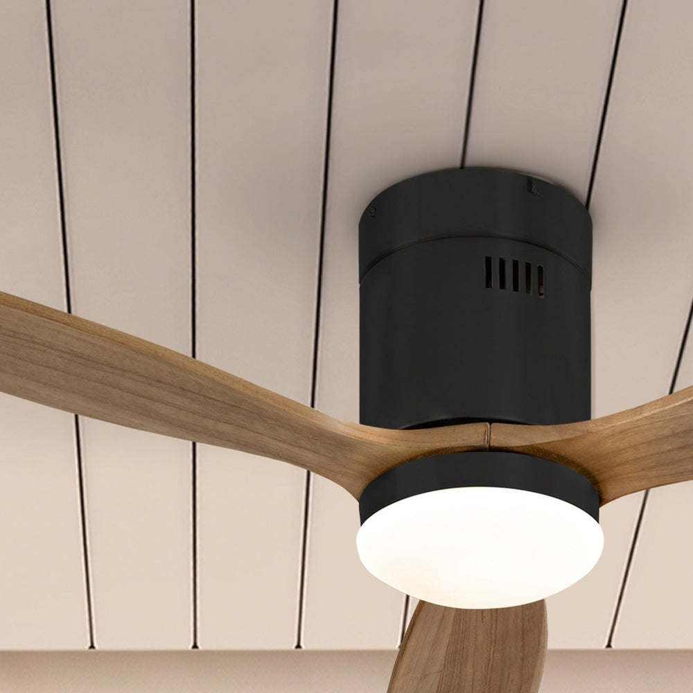 Schuller Siroco Mini Fan black and dimmable walnut 329385D
