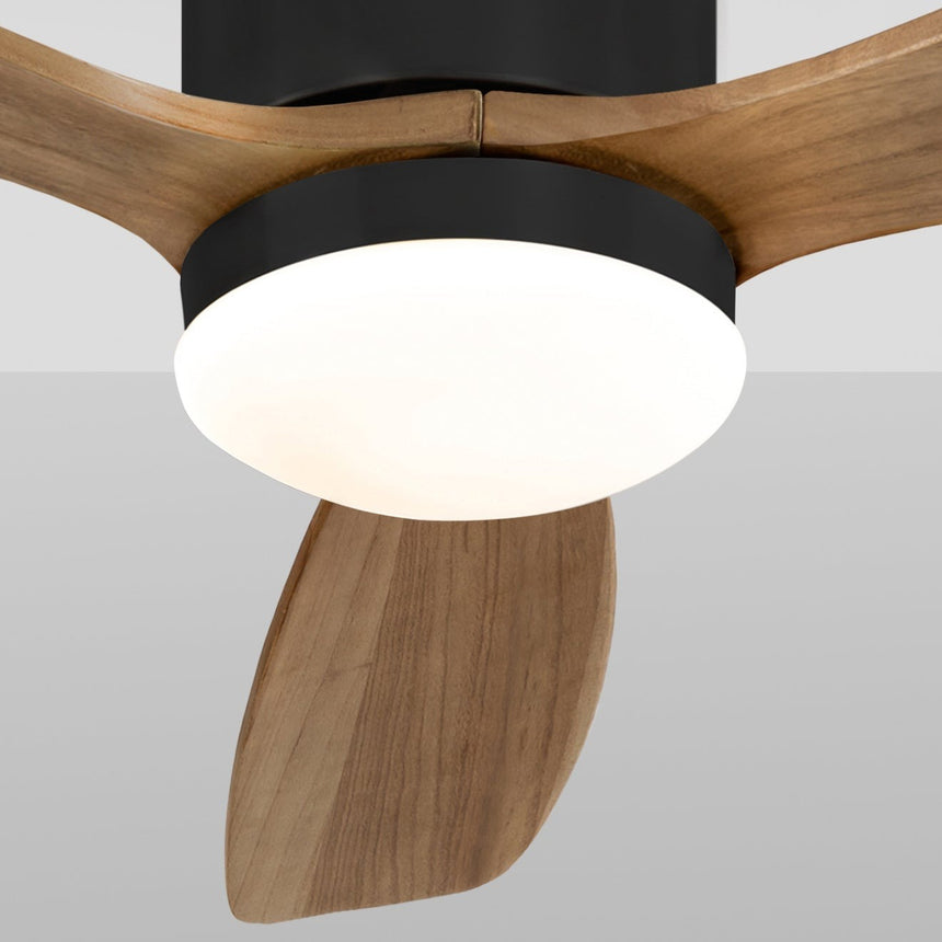 Schuller Siroco Mini Fan black and dimmable walnut 329385D