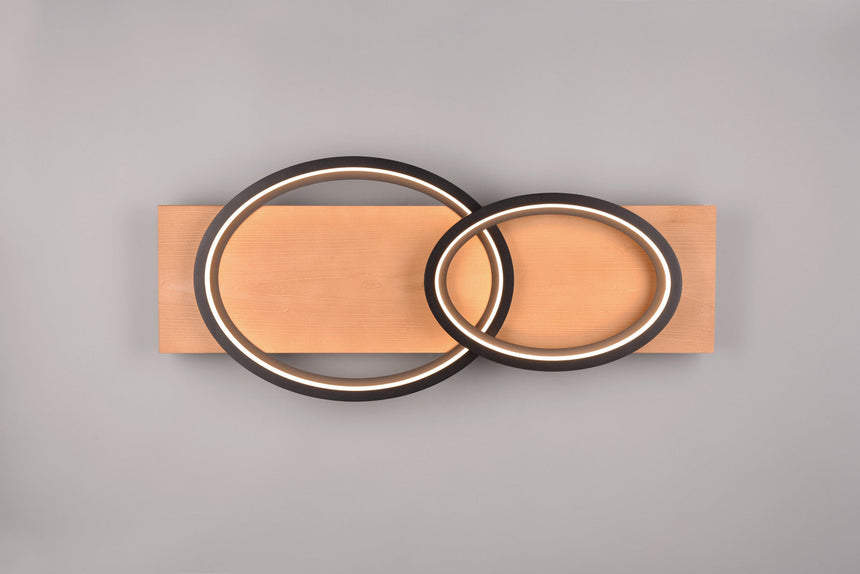 Trio Barca LED ceiling lamp metal black mat 641110232