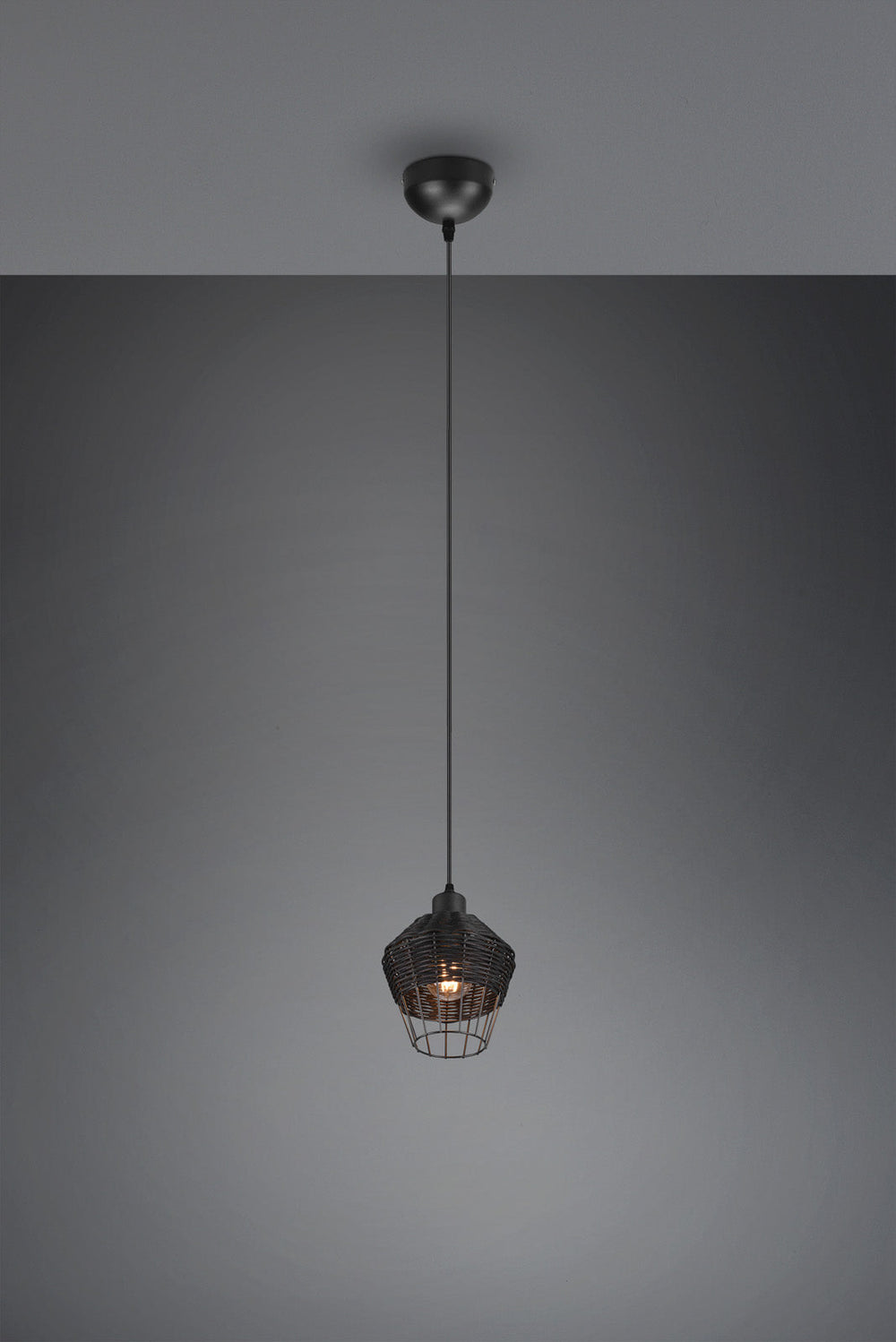 Trio Borka Lámpara de techo colgante malla de rattan negro R31261002