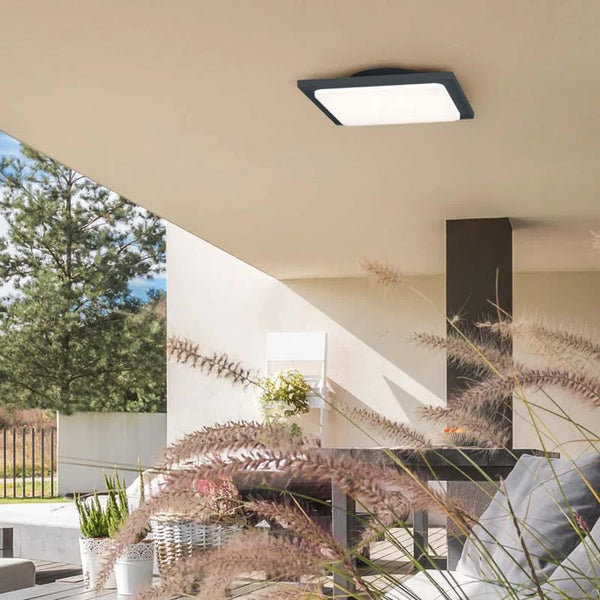 Outdoor ceiling lights