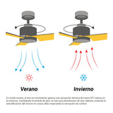 Sulion Ventilador de techo ANNE con luz blanco y madera oscura 2201283