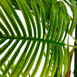 Planta artificial areca palmera de PVC en verde 170 cm