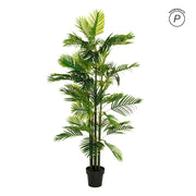 Planta artificial areca palmera de PVC en verde 170 cm