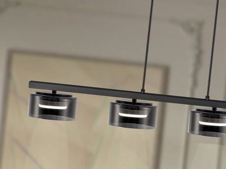 Lámpara de techo colgante Schuller Olaia 4 luces negro  - ambiente