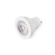 Faro 17316