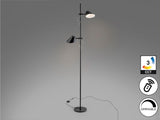Lámpara de pie de salón Schuller Esino LED 2 luces negro CCT orientable con mando 184cm vista 3