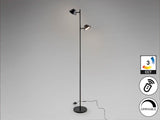 Lámpara de pie de salón Schuller Taros LED 2 luces negro CCT orientable con mando 160cm vista 3