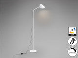 Lámpara de pie de salón Schuller Esino LED 1 luz blanco CCT orientable con mando 158cm vista 3