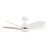 Sulion Ventilador de techo RAINBOW blanco/madera con luz 2179261