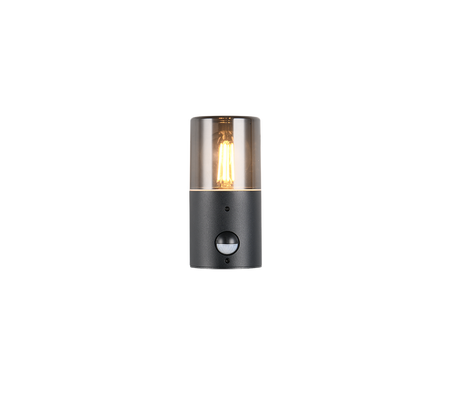 Aplique de exterior Trio Hoosic LED negro mate 2700K IP44 222260132