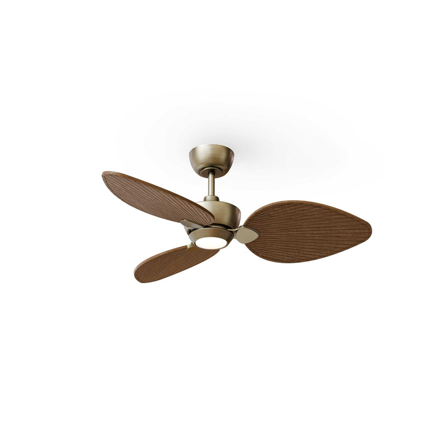 Ventilador de techo con luz Sulion Alma LED bronce y madera motor DC CCT regulable 2248295