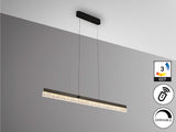 Lámpara de techo colgante Schuller Ixias gris y negro acero CCT con mando vista 3
