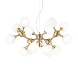 Lámpara colgante Ideal Lux Nodi latón cristal 15 luces 420W Ø0,1cm 241012